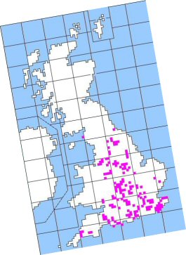 Map of British and Irish distribution folk plays performed during Christmas, New Year, and Plough Monday 2008/2009