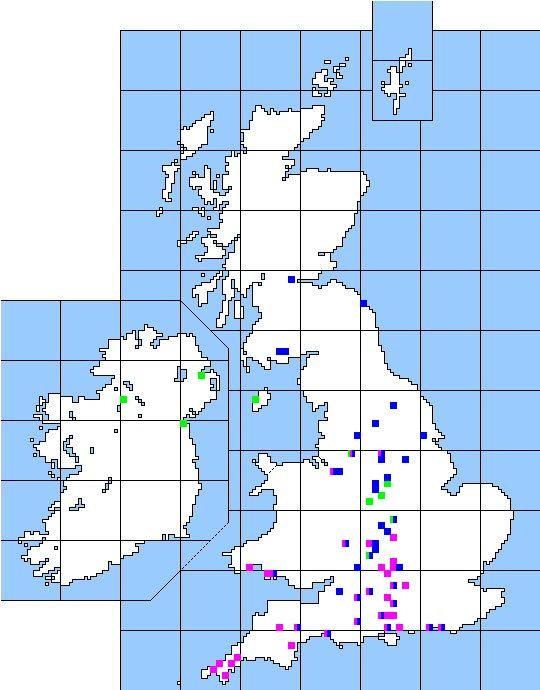 Folk Play Distribution Map: The Distribution of Slasher and the Turk