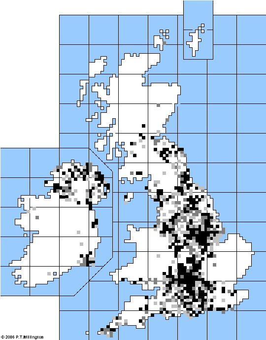 Distribution Map of Best Play Text Availability